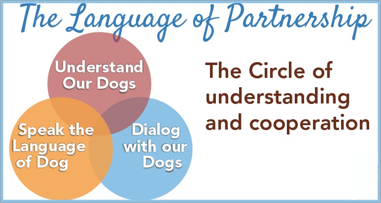 the Circle of Understanding and Partnership