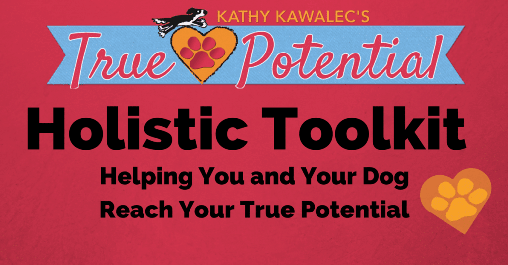 Holistic Toolkit for Dogs online workshop with Kathy Kawalec