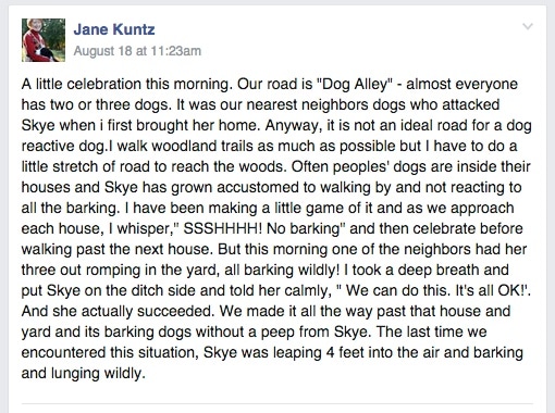 Jane reactive walk past dogs