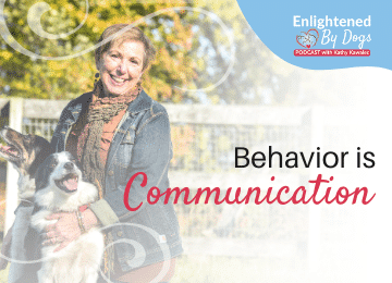 Behavior is communication