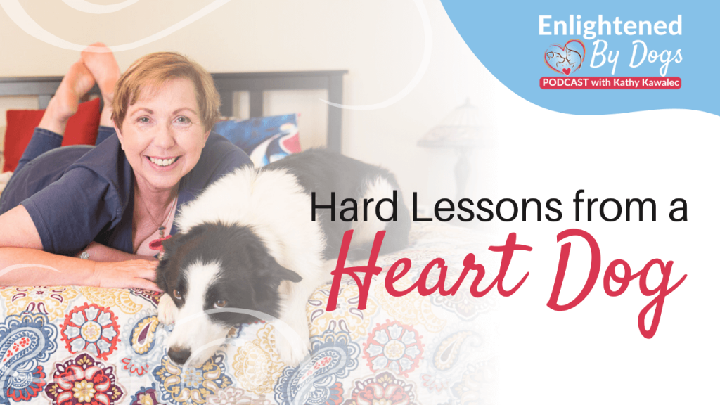 Hard Lessons from a Heart Dog
