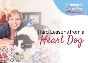 Hard lessons from a heart dog