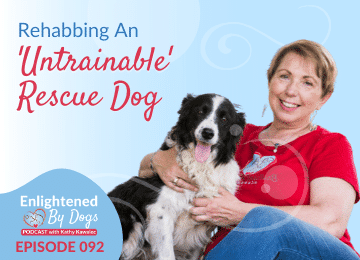 Rehabbing an 'untrainable' rescue dog