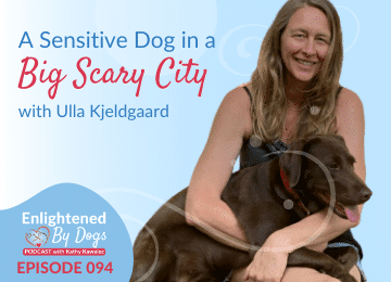 EBD094 A Sensitive Dog in A Big Scary City
