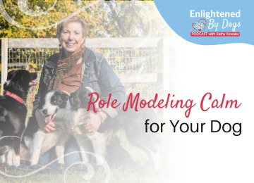 Role modeling calm for your dog