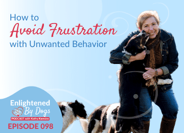 EBD098 How to avoid frustration and unwanted behavior