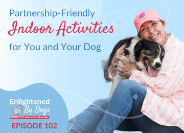 Partnership-friendly Indoor Activities for you and your dog