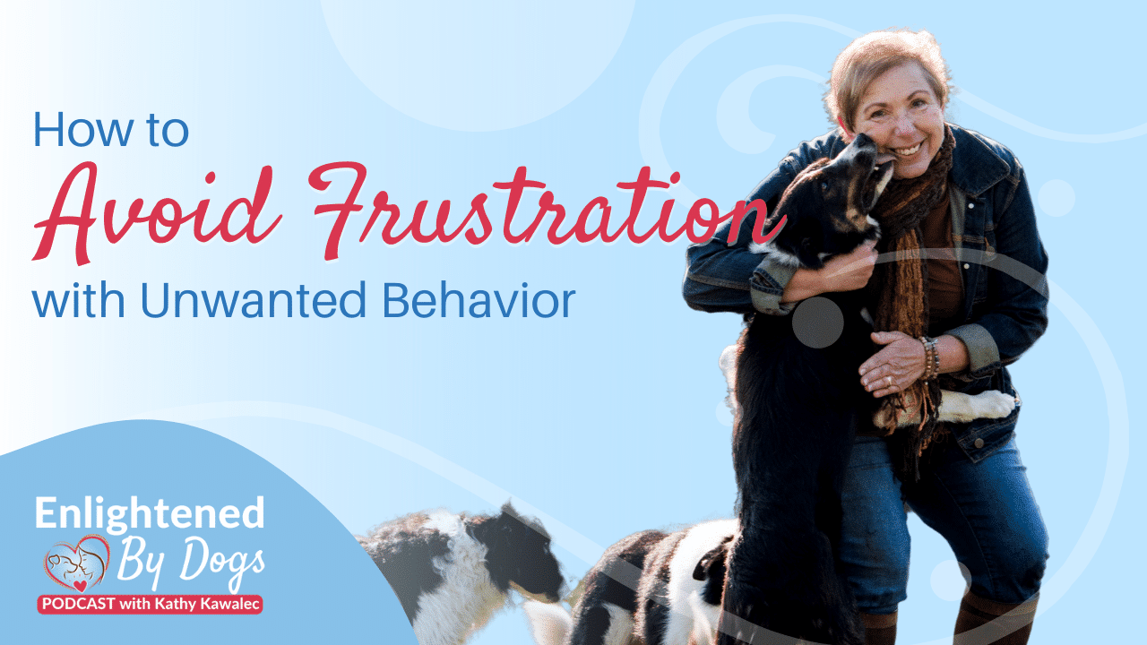 How to Avoid Frustration with Unwanted Behavior