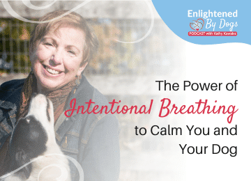 The power of intentional breathing to calm you and your dog