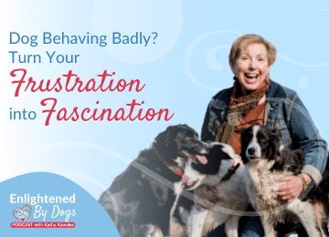 Dog behaving badly? turn your frustration into fascination