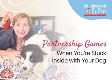 Partnership games when you're stuck inside with your dog