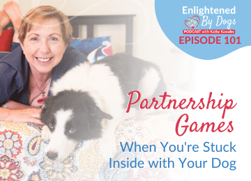 EBD101 - Partnership Games when you're stuck inside with your dog