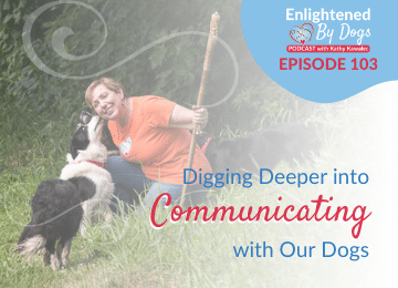Digging deeper into communicating with our dog