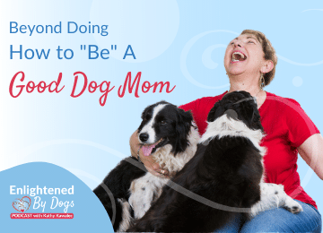 How to be a good dog mom