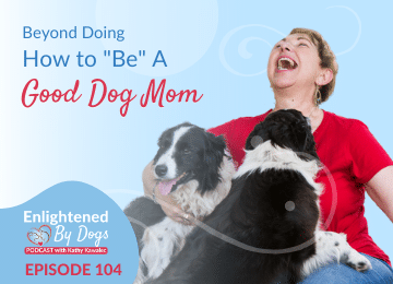 How to be a good dog mom