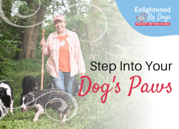 Step into your dog's paws