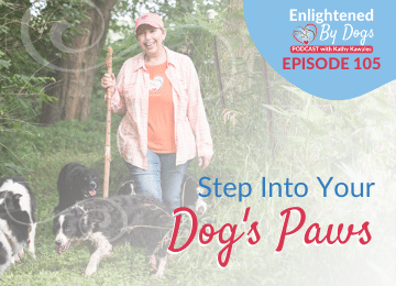 Step into your dog's paws