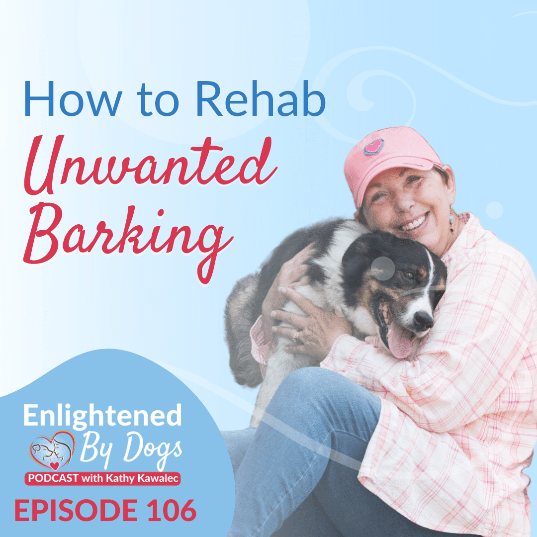 How to Rehab Unwanted Barking