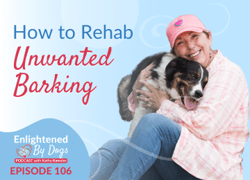 How to Rehab Unwanted Barking