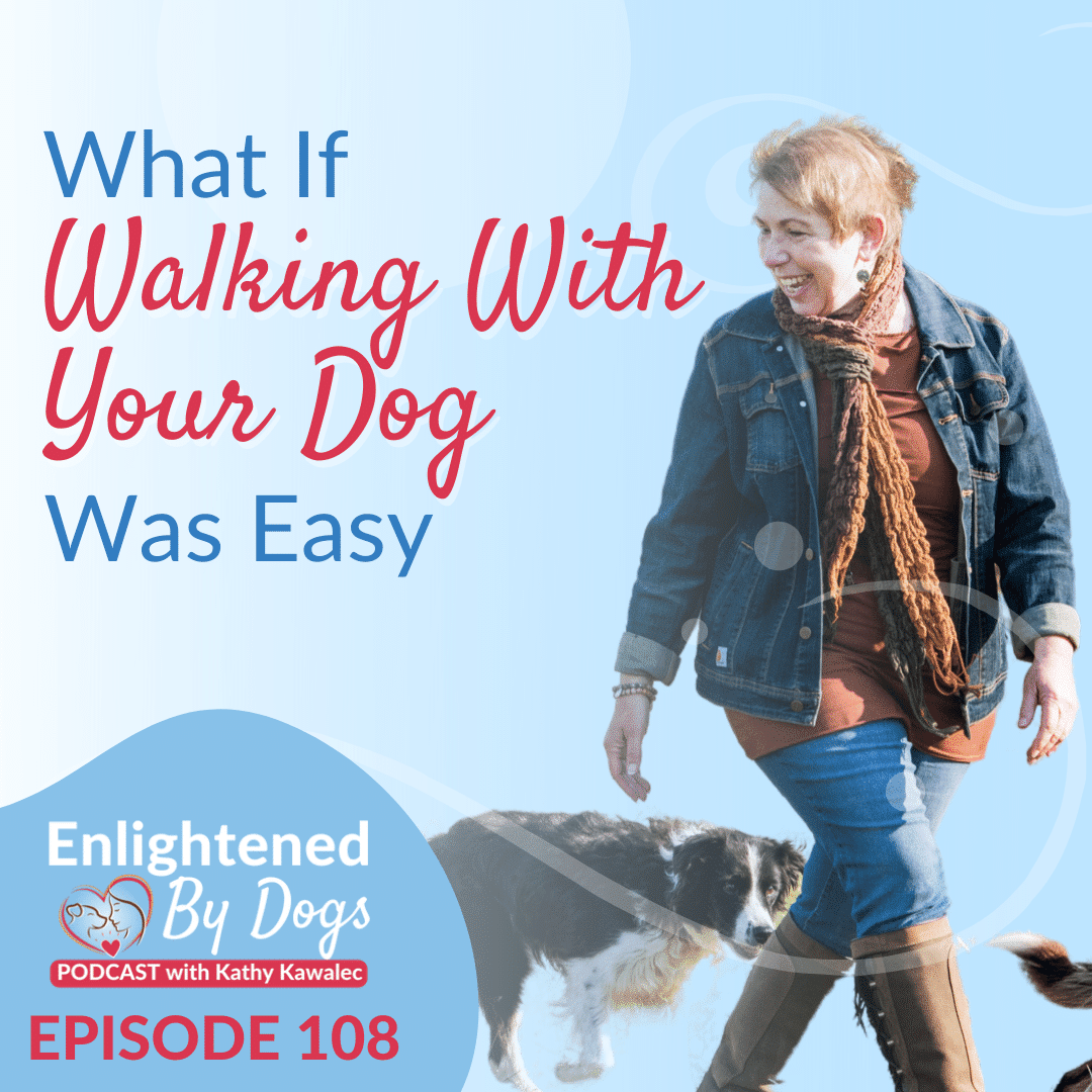 What If Walking With Your Dog Was Easy
