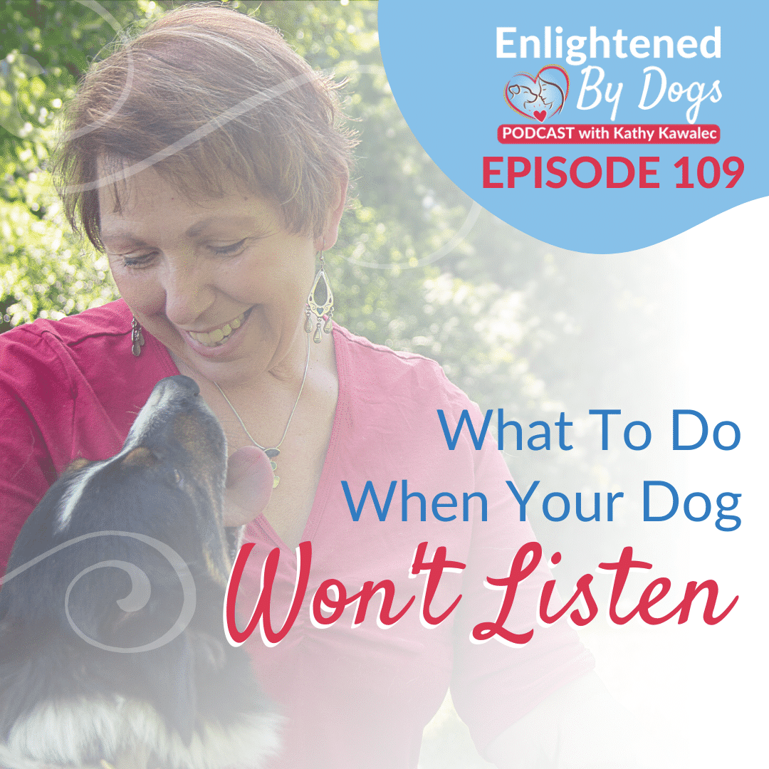 What To Do When Your Dog Won't Listen