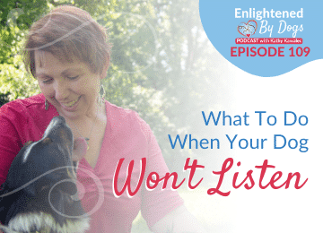 What To Do When Your Dog Won't Listen