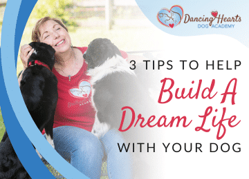 3 Tips to Help Build A Dream Life with Your Dog