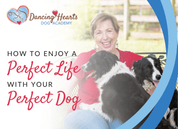 How to Enjoy a Perfect Life with Your Perfect Dog