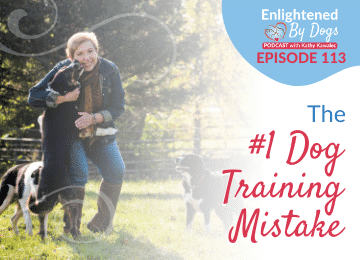 EBD113 The #1 Dog Training Mistake