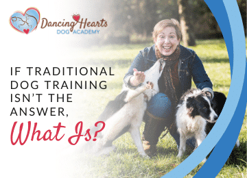 If Traditional Dog Training Isn’t The Answer, What Is?