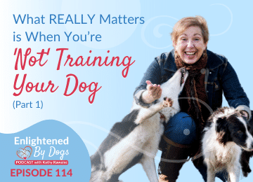 What REALLY Matters is When You’re NOT Training Your Dog (Part 1)