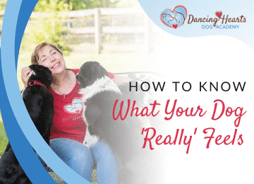 How to Know What Your Dog Really Feels