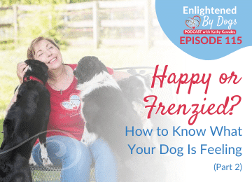 EBD115 Happy or Frenzied? How to Know What Your Dog Is Feeling (Part 2)