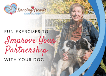 Improve your relationship with your dog