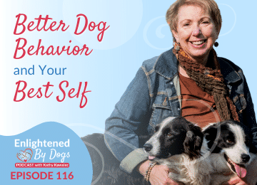 Better Dog Behavior and Your Best Self