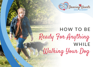 How to Be Ready For Anything While Walking Your Dog