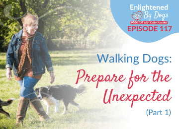 EBD117 Walking Dogs: Prepare for the Unexpected