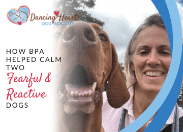 How BPA Helped Calm Two Fearful & Reactive Dogs