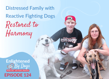 EBD124 Distressed Family with Reactive Fighting Dogs Restored to Harmony