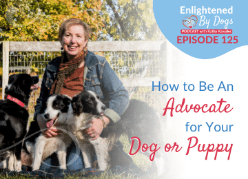 EBD125 How to Be An Advocate for Your Dog or Puppy