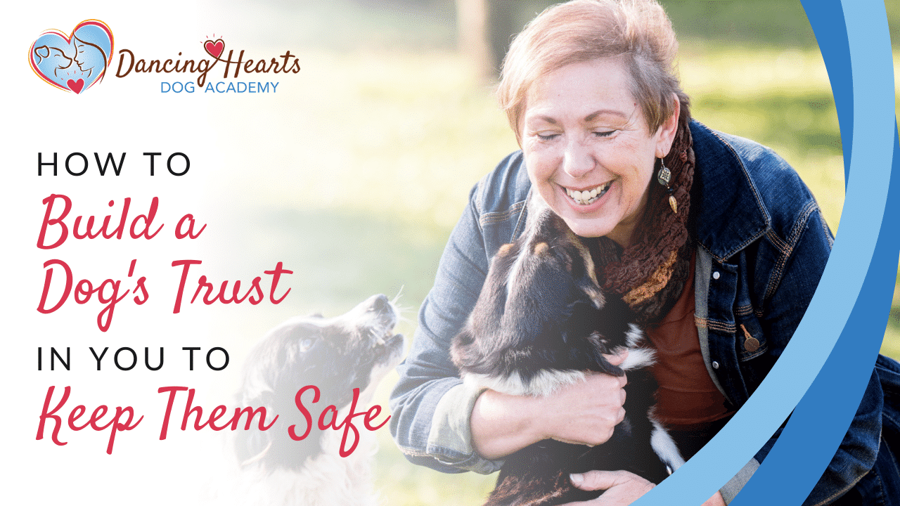How to Build a Dog’s Trust in You to Keep Them Safe