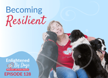How You and Your Dog Can Become Resilient Partners