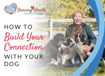 How to Build Your Connection with Your Dog