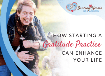 How Starting a Gratitude Practice Can Enhance Your Life