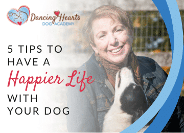 5 Tips to Have a Happier Life with Your Dog