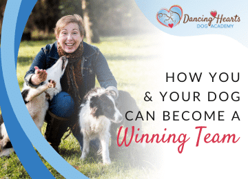 How You & Your Dog Can Become a Winning Team