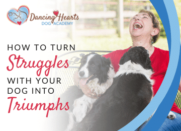 How to Turn Struggles with Your Dog into Triumphs