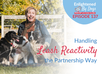Handling Leash Reactivity the Partnership Way