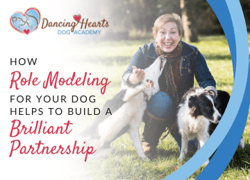 How Role Modeling for Your Dog Helps to Build a Brilliant Partnership