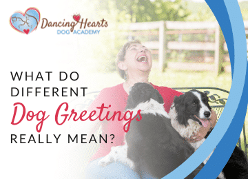 What Do Different Dog Greetings Really Mean?